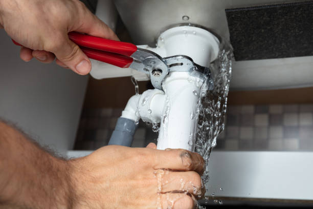 Best Carpet water damage restoration  in Brookfield, IL