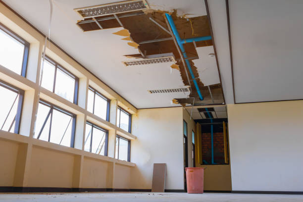 Best Water damage restoration near me  in Brookfield, IL