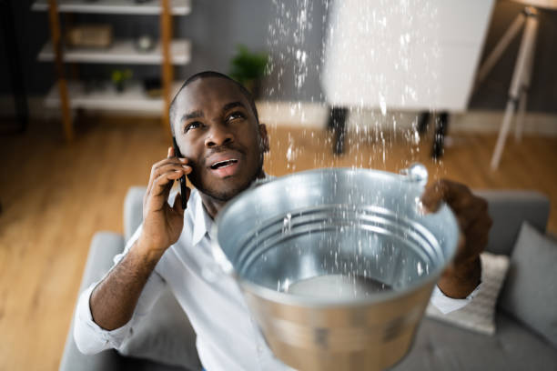  Brookfield, IL Water damage restoration Pros