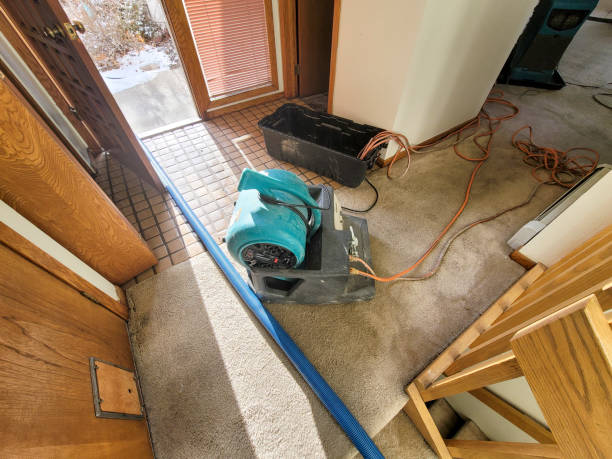 Best Basement water damage restoration  in Brookfield, IL