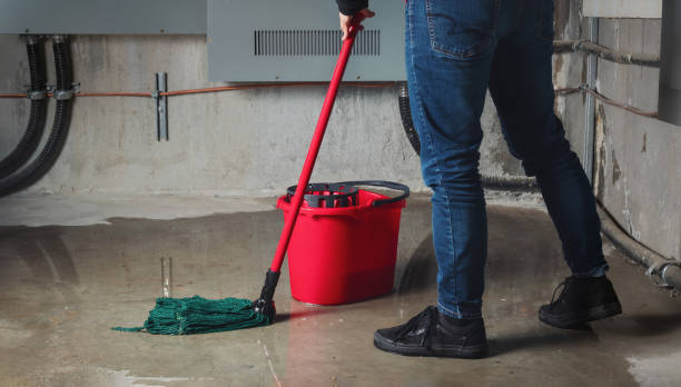 Best Emergency water damage restoration  in Brookfield, IL