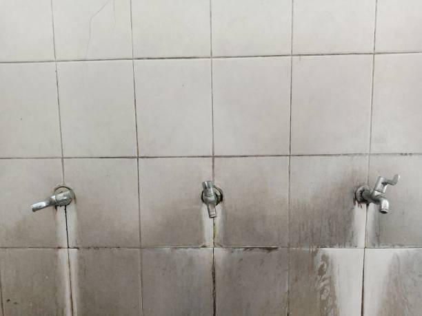 Best Water damage restoration experts  in Brookfield, IL