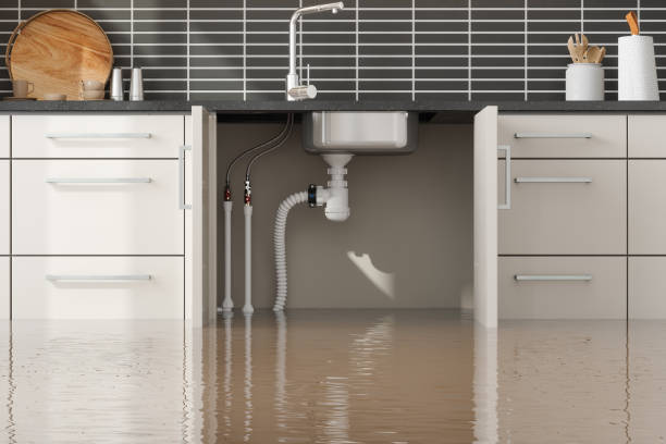 Best Water damage cleanup near me  in Brookfield, IL