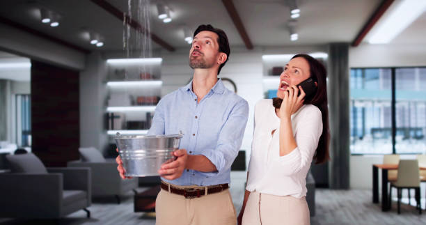 Best Water damage contractors near me  in Brookfield, IL