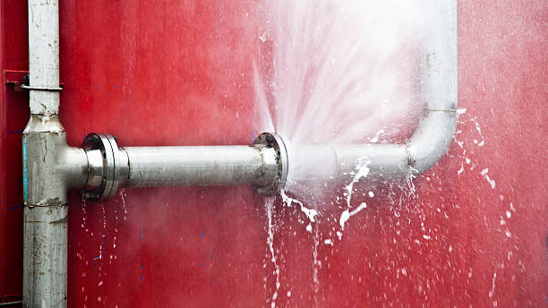 Best Mold removal after water damage  in Brookfield, IL